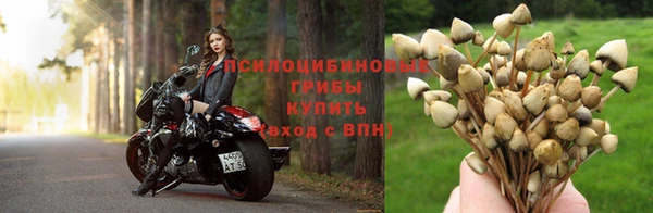 СК Армянск