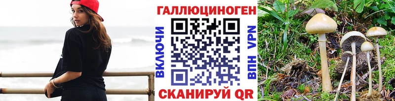 KRAKEN онион как найти Ясный Галлюциногенные грибы прущие грибы
